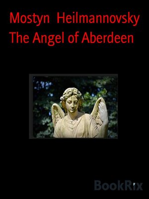 cover image of The Angel of Aberdeen